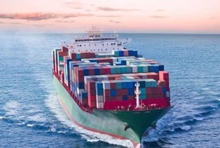 中方发布白皮书，回应美方言而无信，重申国营贸易管理货物进出口的坚定立场