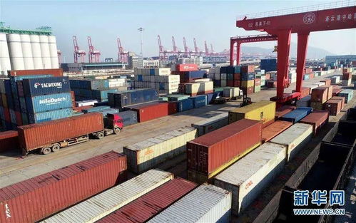 组团出海抢订单，稳外贸注入新动能